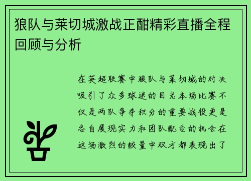 狼队与莱切城激战正酣精彩直播全程回顾与分析