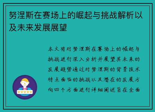 努涅斯在赛场上的崛起与挑战解析以及未来发展展望