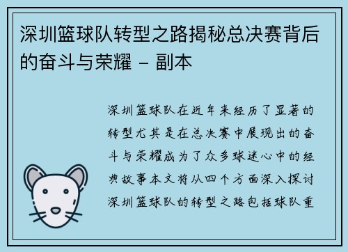 深圳篮球队转型之路揭秘总决赛背后的奋斗与荣耀 - 副本